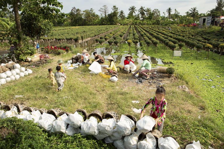 Asian farmers and kids working together in a vibrant green farmland, cultivating and packaging crops.